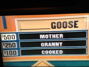 Match Game Super Match Answers for _____ Goose