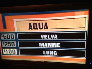 Aqua Blank Answers